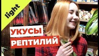 Укусы рептилий! Опасно ли?