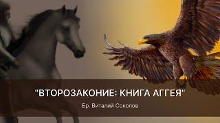 2024.08.18 "ВТОРОЗАКОНИЕ: КНИГА АГГЕЯ" бр. Виталий Соколов