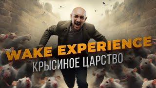 Wake Experience — худший вейк-лагерь в стране