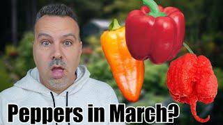 24 Peppers to Plant in March - Indoors & Outdoors