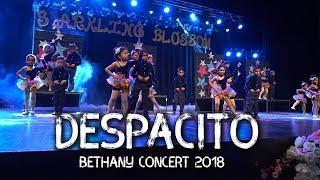 couple dance (Despacito) - Bethany concert 2018