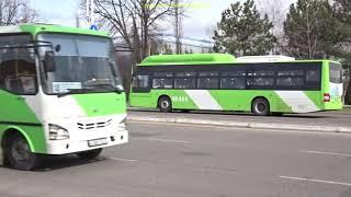 Buses in Tashkent, Uzbekistan 2020: Автобусы в Ташкенте