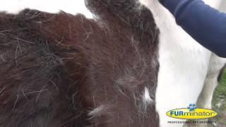 ОРИГИНАЛ , ФУРМИНАТОРЫ ДЛЯ ЛОШАДЕЙ . deShedding tool for Horses