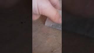 Как сделать безопасный снюс из чая