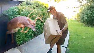 Best Delivery Driver Videos of the Decade