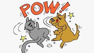 Dog and cat very funny video |saad saifi