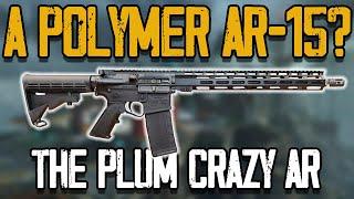 A Polymer AR-15?! (Plum Crazy AR-15)