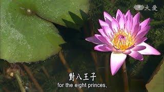 Wisdom at Dawn (Lotus Sutra) ep1104: The Enlightened One Taught the Lotus Sutra