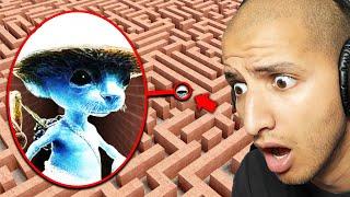 DONT ENTER SMURF CAT MAZE... (Scary)