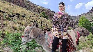Village Lifestyle Iran: Amazing Bread Baking & Cooking & Donkey Riding