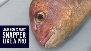 How to fillet, skin and debone New Zealand snapper (tāmure)