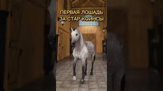 ЧЕЛЛЕНДЖ  #старстейбл #StarStableOnline #старстейблонлайн #ссо #starstable #horse #sso #ssoedit