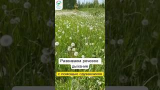 Топ-3 упражнения с одуванчиком на развитие речевого дыхания #логопед #речевоедыхание #логопедонлайн