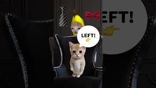 LEFT OR RIGHT? (BANANA CAT FASHION) #catmemes #animation #bananacat #elgatocat