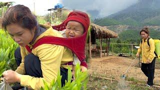 Single mother Ly Tieu Hy has to work for hire to earn money