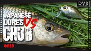 Japanese lures vs. CHUB | Японские приманки против голавля [ BFS chub fishing ]