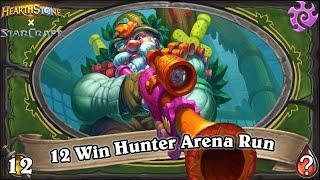 12 Win Hemet, Foam Marksman Hunter Hearthstone Arena Run