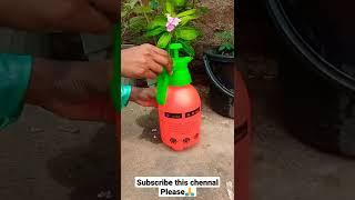 #How to use pressure sprayer (2 Liter) || #Hand spray pump pressure gardening review