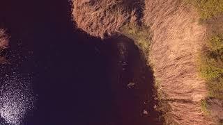 Reed Webster Park - Camillus, NY - Mavic Pro Platinum