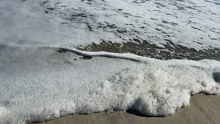 SUNDAY OBX BEACH WALK Outer Banks