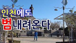 Feel the rhythm of Korea: INCHEON