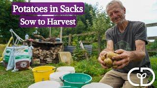 7 different composts to compare potato growth