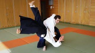 Powerful Aikido - Guillaume Erard in Tokyo (September 2014)