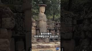 [충주] 거대석불