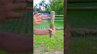 bamboo slingshot @slingshotfun