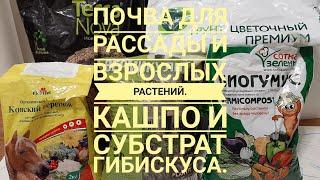 Почва для рассады и взрослых растений. Выбор кашпо. Субстрат для гибискуса.