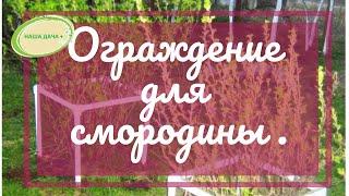 Огрождение смородины из полипропиленовой трубы. Видищев Геннадий