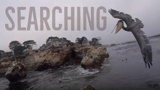 REACHING ECSTASY : (TO BE A BIRD) TOM SMITH FPV