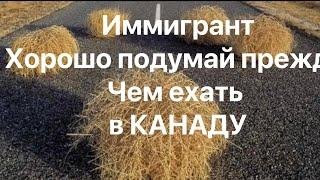 Канада, иммиграция тебя погубит! Ехать нельзя остаться