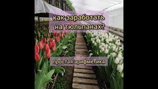 Как заработать на 8 марта? Бизнес на тюльпанах.