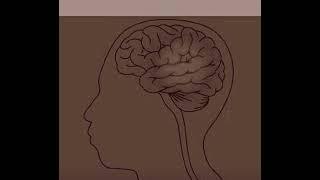 -epilepsy- (extended)