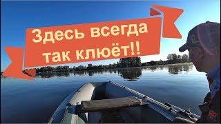 Здесь всегда так клюёт