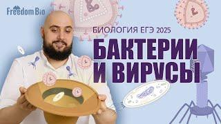 БАКТЕРИИ И ВИРУСЫ |Общая биология |ЕГЭ БИОЛОГИЯ 2025|Freedom|