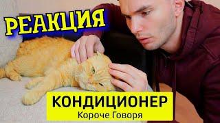 РЕБОРН СМОТРИТ ► КОРОЧЕ ГОВОРЯ, КОНДИЦИОНЕР ► РЕАКЦИЯ НА ТИМ ТИМ