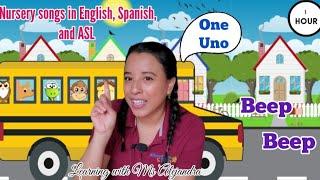 Learn Songs, colors, count and more in English, Spanish and ASL with Ms. Alejandra