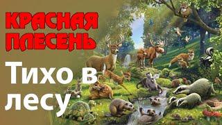 Красная Плесень - Тихо в лесу | Лучшие песни