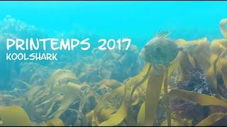 Chasse sous marine -  Printemps 2017 - Finistère
