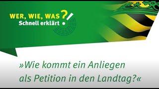 Wie kommt ein Anliegen als Petition in den Landtag?