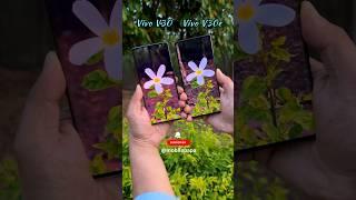 Vivo V30 vs Vivo V30e 2x Optical Zoom Camera Test   #shorts #vivov30 #vivov30e #vivo