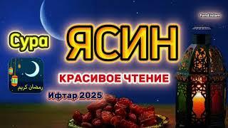 сура ясин  сердце корона очистить Ваш дом и удаляет все негативы