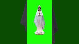 觀音#green#screen#特效 #綠幕 #cute #合成 #觀音#funny #素材