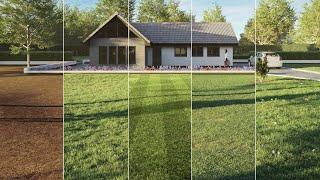 TUTORIAL: Creating realistic wild, mown and striped grass in 3ds Max (Beginner)