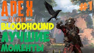 Apex Legends Лучшие Моменты Bloodhound