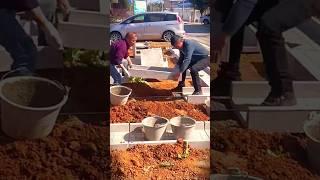 The process of installing roads in the garden #shorts