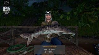 Fishing Planet  УНИКАЛЬНЫЙ СОМ СУРУБИ! МАКУ-МАКУ