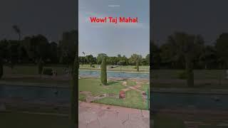 TajMahal! kon kon gya hai comment me bta do#tajmahal #india #indianarmy